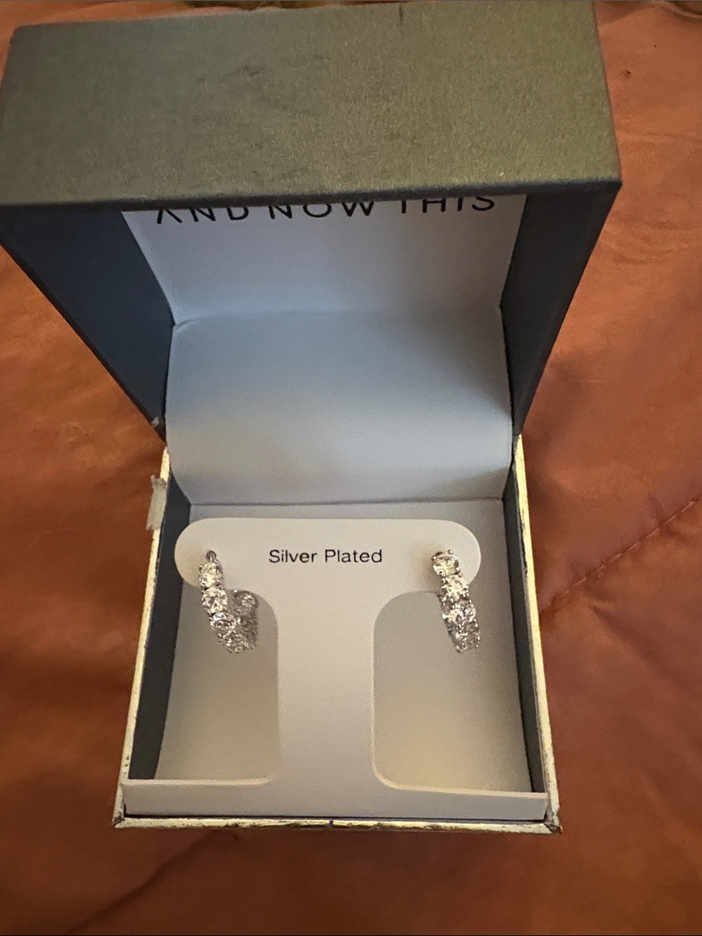 Silver Plated Crystal Hoop Earrings - Sparkling Clear Stones